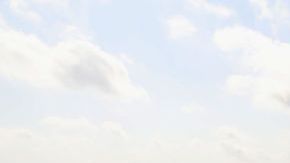 Los migrantes centroamericanos detenidos en Tamaulipas suman un total de 139 en los últimos tres días.