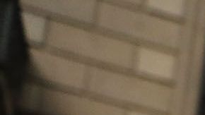 "La Migra" la detuvo al regresar a EEUU desde México, en un vuelo en el que trabajó