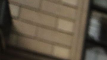 "La Migra" la detuvo al regresar a EEUU desde México, en un vuelo en el que trabajó