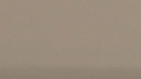 Las voluntarias han manifestado que "el crimen real es la política del gobierno [federal] que usa la muerte como freno en la frontera".