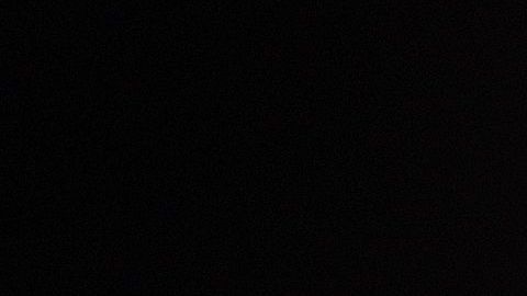 Las aplicaciones en celulares pueden ayudar a inmigrantes a mantenerse en alerta.