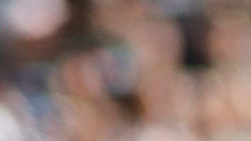 El delantero mexicano Carlos Vela no entiende a la afición mexicana.