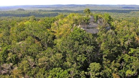 La pirámide de La Danta, es el templo maya más grande jamás construido. Foto: Dennis G. Jarvis via Wikimedia Commons