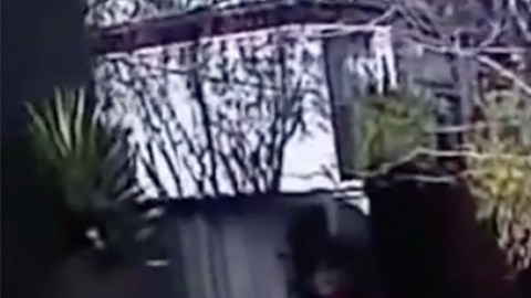 El momento en que intentaban detener a Guzmán.