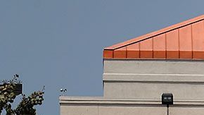 No gastes más de lo que debas cuando vayas a esta tienda.