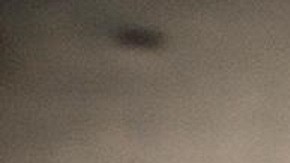 Comunidades de los cinco condados de La Gran Manzana se mantienen alerta ante amenazas de deportación masiva