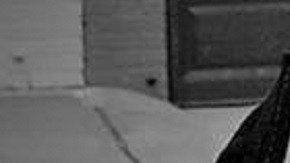 Las capturas se hicieron en febrero.