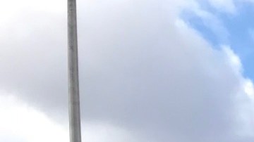 Manifestantes en Albany piden licencias de conducir para los indocumentados (Marzo 2019)