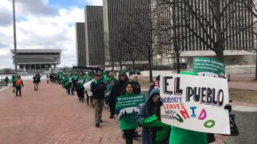 Manifestantes en Albany piden licencias de conducir para los indocumentados (Marzo 2019)