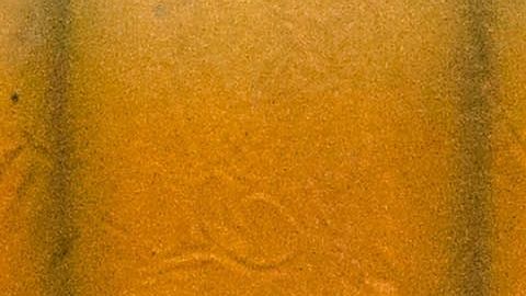 Miguel Herrera defiende y elogia a su compatriota Hugo Sánchez