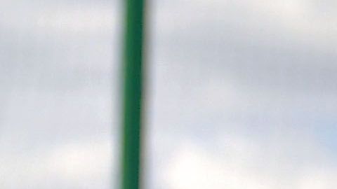 Hirving Lozano y Raúl Jiménez son algunos de los jugadores convocados por Gerardo Martino