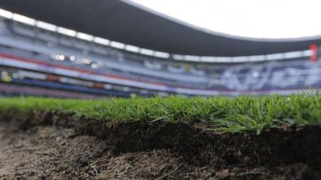 El estadio Azteca cambiará otra vez su césped, para recibir a la NFL