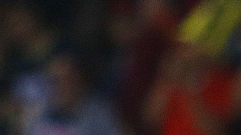 Los jugadores del América celebran el gol del empate