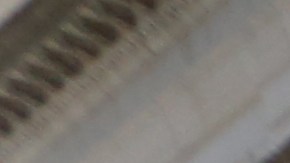 El activista Anthony Posada razona que la nueva ley que verá luz en NY tiene muchas previsiones. (Foto: Archivo-El Diario)