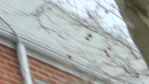 La dominicana Alisson Brady, quien se está beneficiando de los fondos del proyecto de Defensa de Libertad