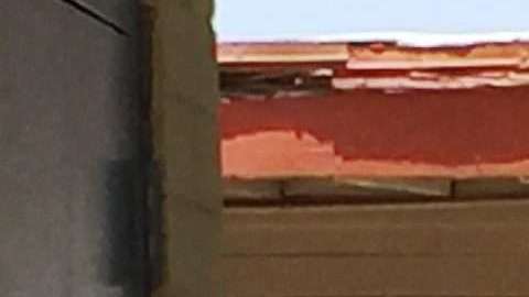 Los menores víctimas de abuso, descuido o abandono podrán ser considerados "inmigrante juvenil especial".