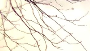 Incluso la ciudad alimentó una desmesurada venta de medallones de taxis