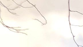 Decenas de taxistas conducieron este miércoles con cárteles en rechazo de la "tarifa de congestión"