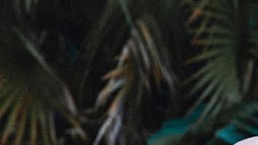 Chyno Miranda y su esposa