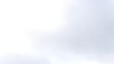 Manifestantes se reunieron a las afueras de la oficina de distrito del senador Michael Gianaris en Queens.