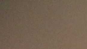 De Blasio hizo un recorrido desde City Hall hasta la Calle 110 en El Barrio.