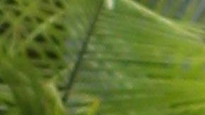 Jennifer López impacta con su figura.