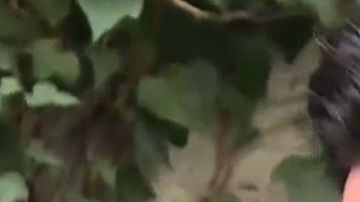 Le preguntaron a Julián Gil sobre la separación de Geraldine Bazán y Gabriel Soto