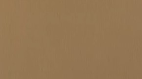 La secretaria Nielse es cuestionada por el Comité de Seguridad Nacional en la Cámara.