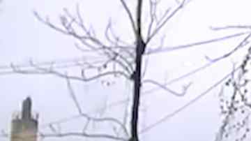 Imágenes de la grabación distribuida por la policía de Little Rock.