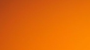 Deja de creer en estos mitos para que tengas más posibilidades de ser considerado como el mejor postulante.