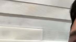 El Molusco "nunca ha tenido pelos en la lengua".