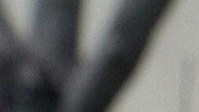 La Primera Enmienda de la constitución estadounidense permite que cualquier persona registre en público a los agentes de la ley en servicio.