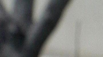 La Primera Enmienda de la constitución estadounidense permite que cualquier persona registre en público a los agentes de la ley en servicio.