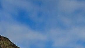 Las ostras que sobreviven y crecen en aguas con altos niveles de acidez desarrollan una concha más pequeña y frágil que se rompe con mayor facilidad.