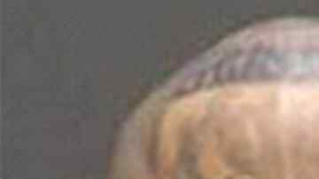 El pandillero tiene las letras "M" y "S" en sus mejillas y el número 13 en su barbilla.