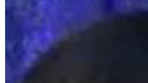 Barack Obama aconsejó a Jennifer López y a Alex Rodríguez.