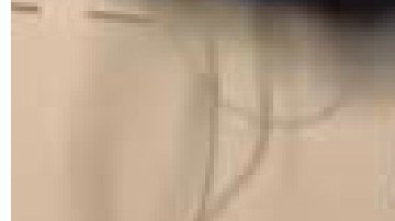 El expolicía fue sentenciado a más de cinco años en prisión.