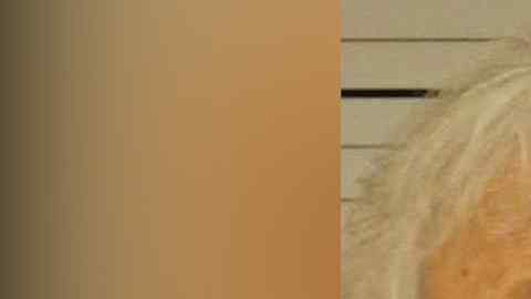 La mayoría de los asaltos ocurrieron en 2000 cuando Barto obtuvo su licencia médica,