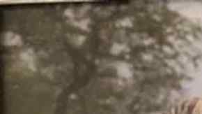 La madre, Toni Anderson, tiene 73 años, y dijo que ella crió sola a su hija, Lane, que ahora tiene 52 años.