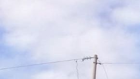 El chofer del autobús denunció los hehcos.