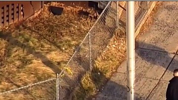 Detectives examinan la escena