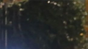 El príncipe tiene ya algunos años viviendo en nuestro país.