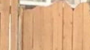 Lester Pearson, rapero "Monsta Kodi"