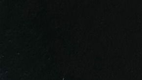 Si la intención es bajar el consumo de calorías, habría que cuidar la cantidad de arroz que se ingiere.