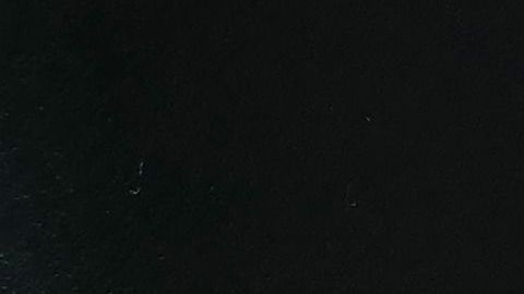 Si la intención es bajar el consumo de calorías, habría que cuidar la cantidad de arroz que se ingiere.