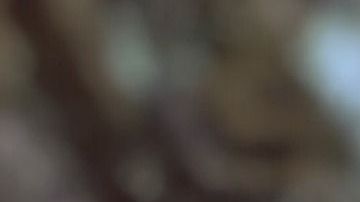 Los estafadores buscan confundir a la víctima y producir emociones de miedo y frustración. Imagen ilustrativa.