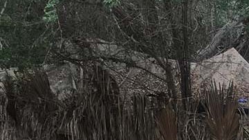 Los "narcolaboratorios" fueron desmantelados por la Semar.