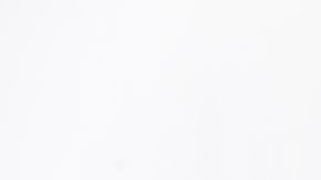 shutterstock_1016867470