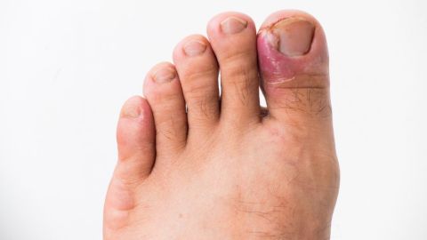 shutterstock_1016867470