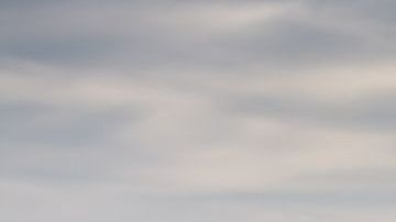 shutterstock_1038705769